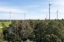 Wald und Windräder Wald und Windräder