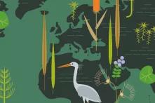 Cover des Mooratlas 2023