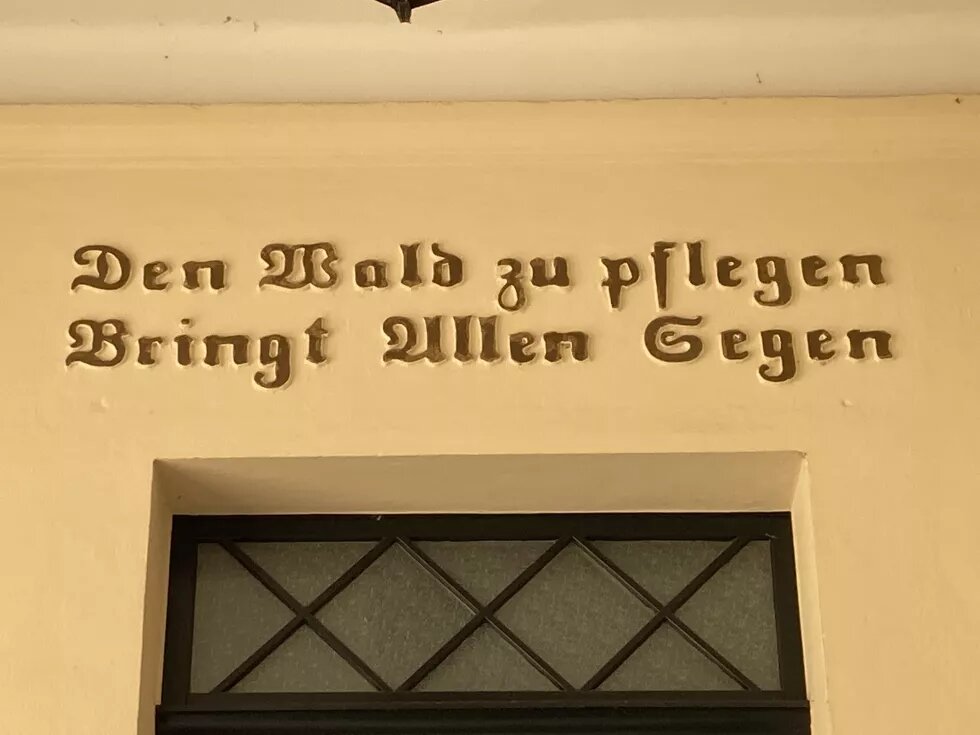 Den Wald zu pflegen Den Wald zu pflegen
