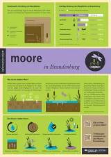 Die erste Seite des Infoblatts "Moore in Brandenburg"