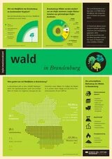 man sieht die erste Seite des Infoblatt Walds auf der verschiedene Fakten zum Wald in Brandenburg beschrieben sind.