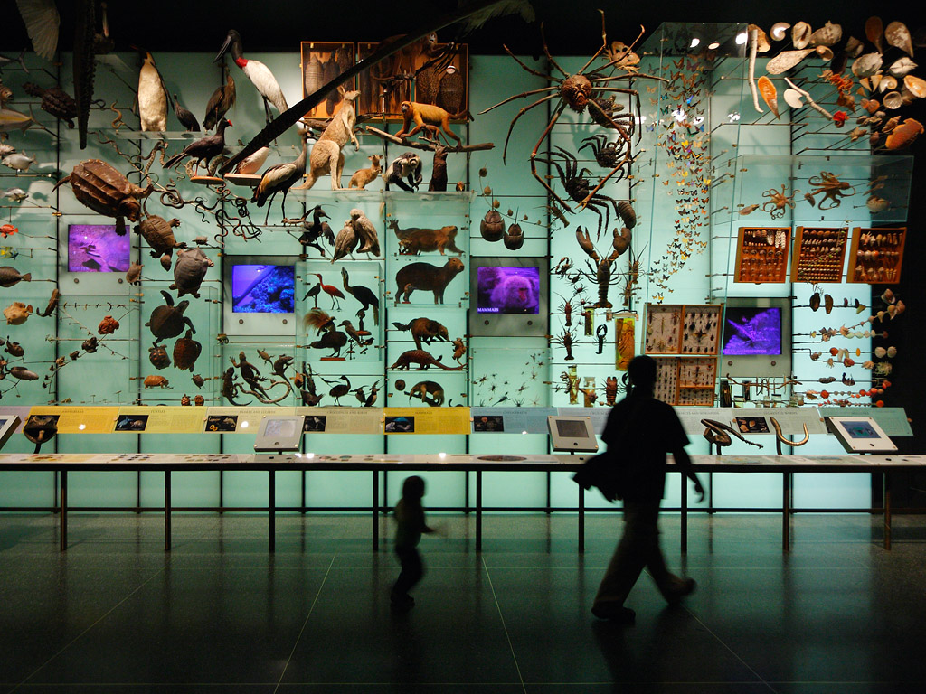 Biodiversity Biodiversity
